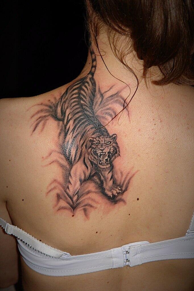 Тату тигров на спине — фото и эскизов татуировок года