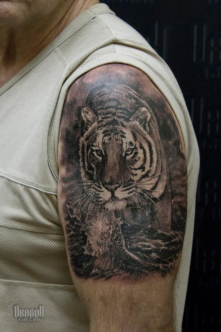 Фото тату Тату тигры на плече