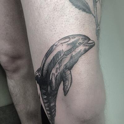Тату дельфины на ноге