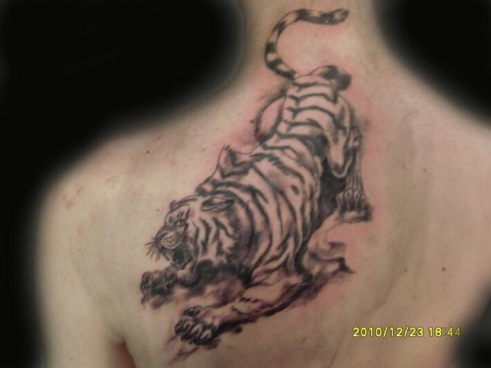 Фото тату Тату тигры на спине