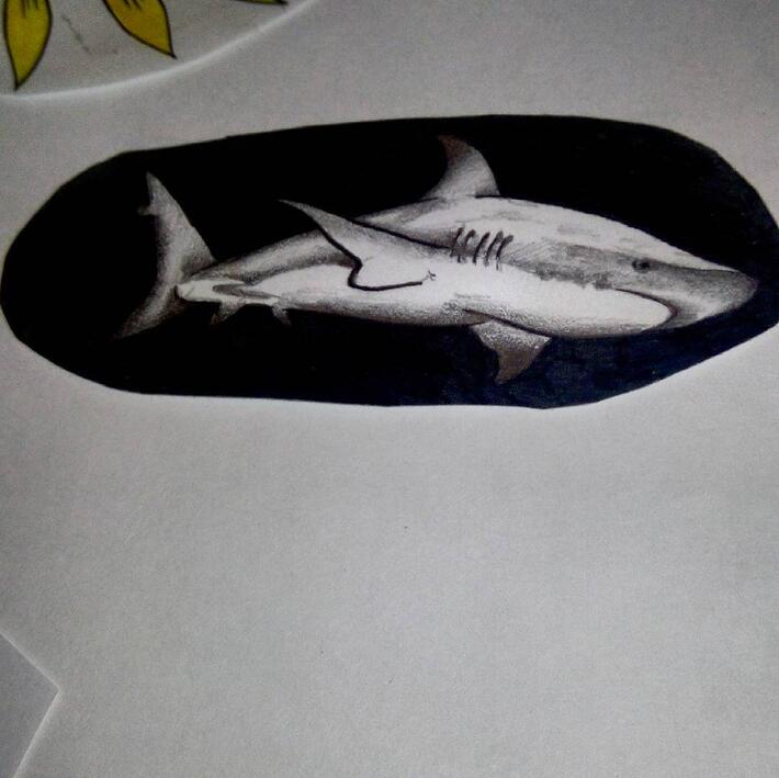 Фото тату Тату акулы эскиз