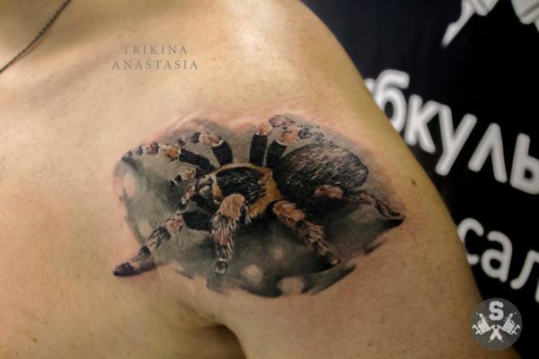 Фото тату Большой паук на плече