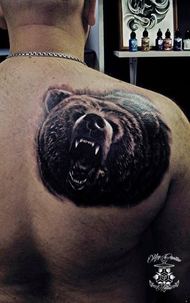 Татуировки мужские на спине фото медведь