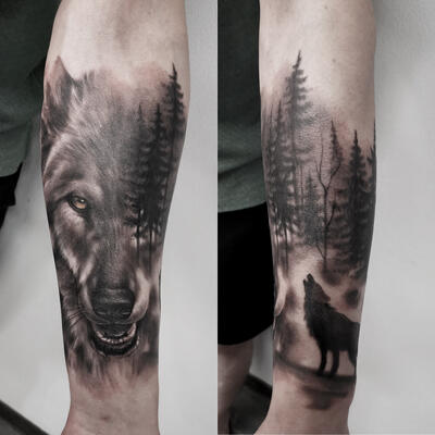 Волк и лес