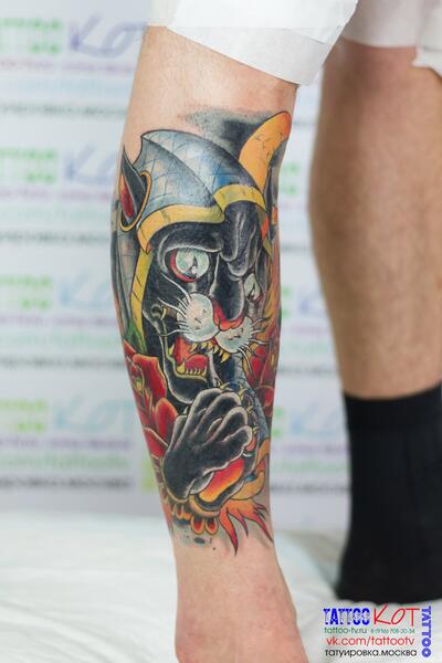 Кот-ассасин