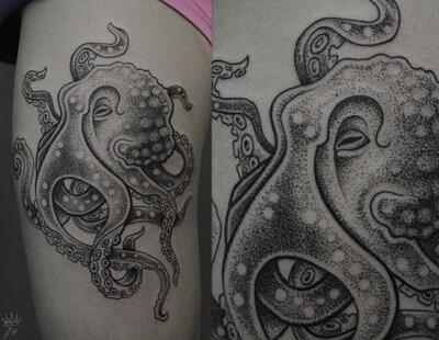 Octopus