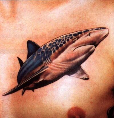 Акула на груди