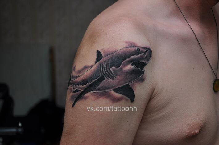 Фото тату Тату акулы на плече