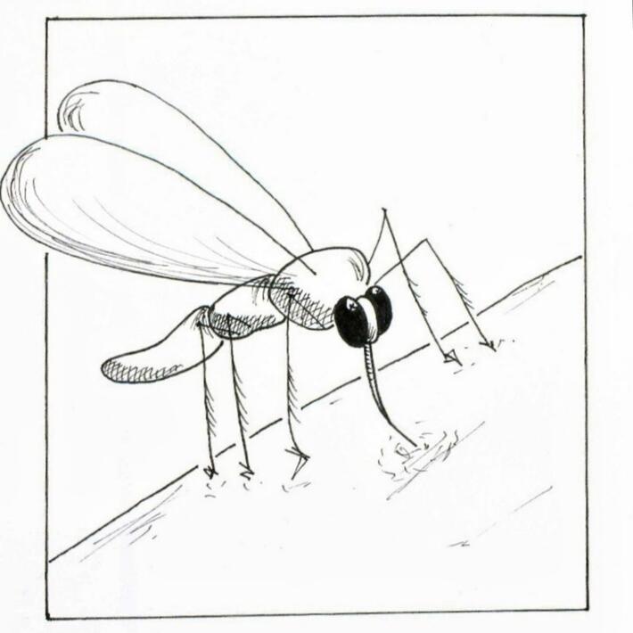 
#mücke #mückenstich #tattoo #Wannado #wannadotattoo #sketchy #minimalism #illustration #sommer #insekten #nature #naturetattoo #fineline #finelinetattoo #ink #hamburg #tattooapprentice #kunst #skizze #animaltattoo #tiere