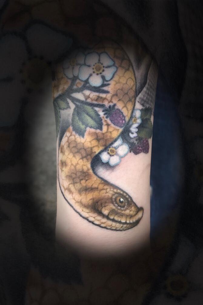  #snake #tntattooartist #monolithtattoo615 #monolith_gtattoos #realism #coldblooded