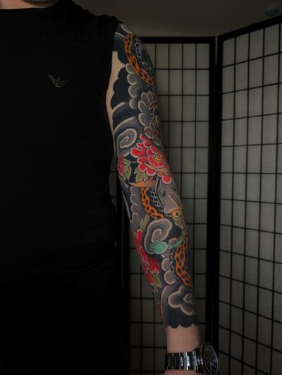 Рома Ковган