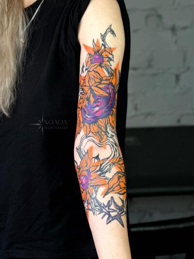 Анастасия Холод