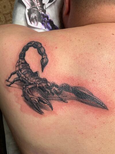 Роман Котов