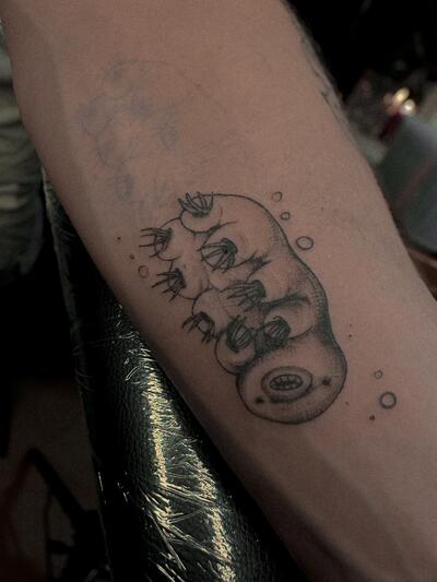 Лена Королёва