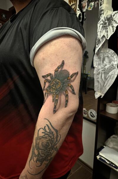 Сергей Бардин