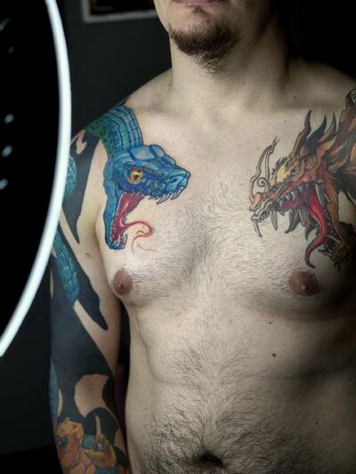 Анастасия Холод