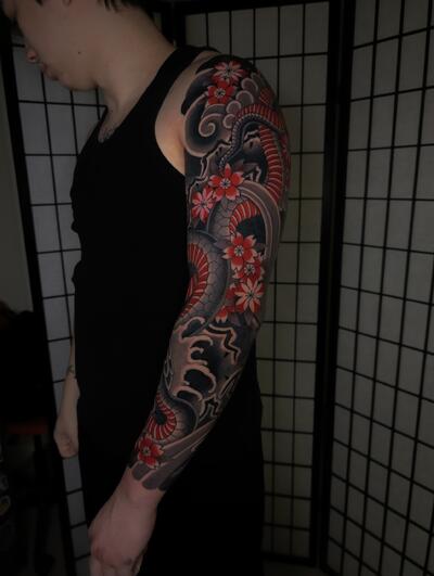 Рома Ковган