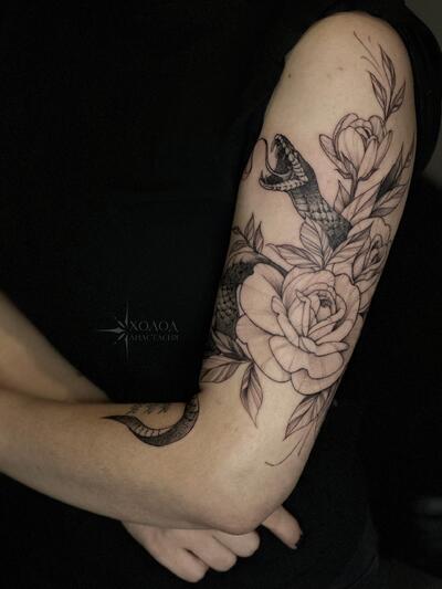 Анастасия Холод