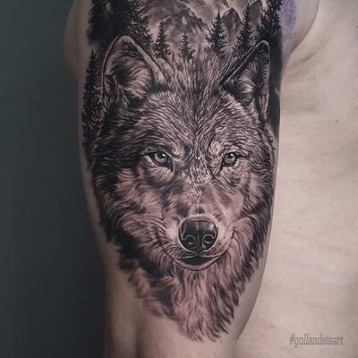 Алексей Щербаков