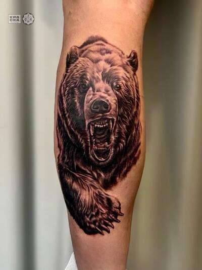 Сергей Швед