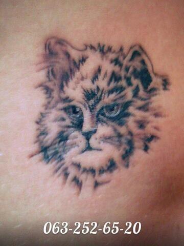 com/tattooirovka777#https://vk