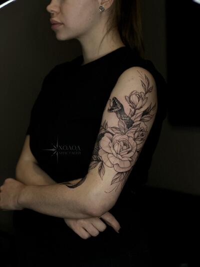 Анастасия Холод