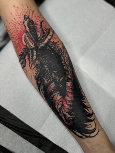 Анастасия Холод