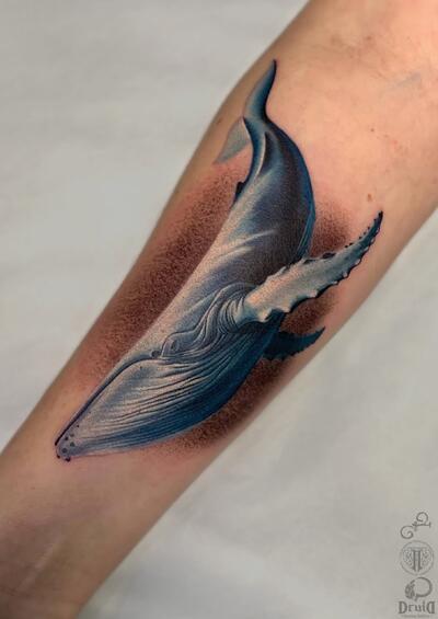 Игорь Пастушенко