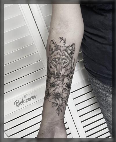 Дмитрий Белозеров