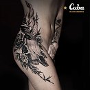 Карина Куба 2