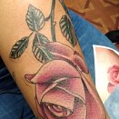 Josh Yanetsky 2