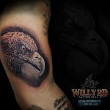 Willy Tattoo RD 1