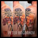 Peter Bogdanov 3