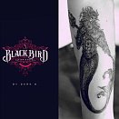 Blackbird Tatto 2
