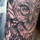 David Lugo 3
