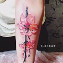 Alice Buzz 2