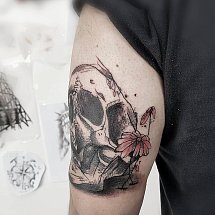 Lefteris Charalambous 1