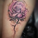 Anthony Noble 3