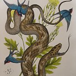 Nick Stegall